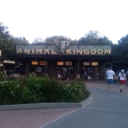 Viajando Sozinha para a Disney: Relato de Viagem 8 – Animal Kingdom – Parte 1/2